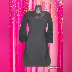 Womens Nwt Size XXS Boston Proper Black dress. Qtr sleeves ends are Lace.